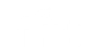 Flirt Adult Store